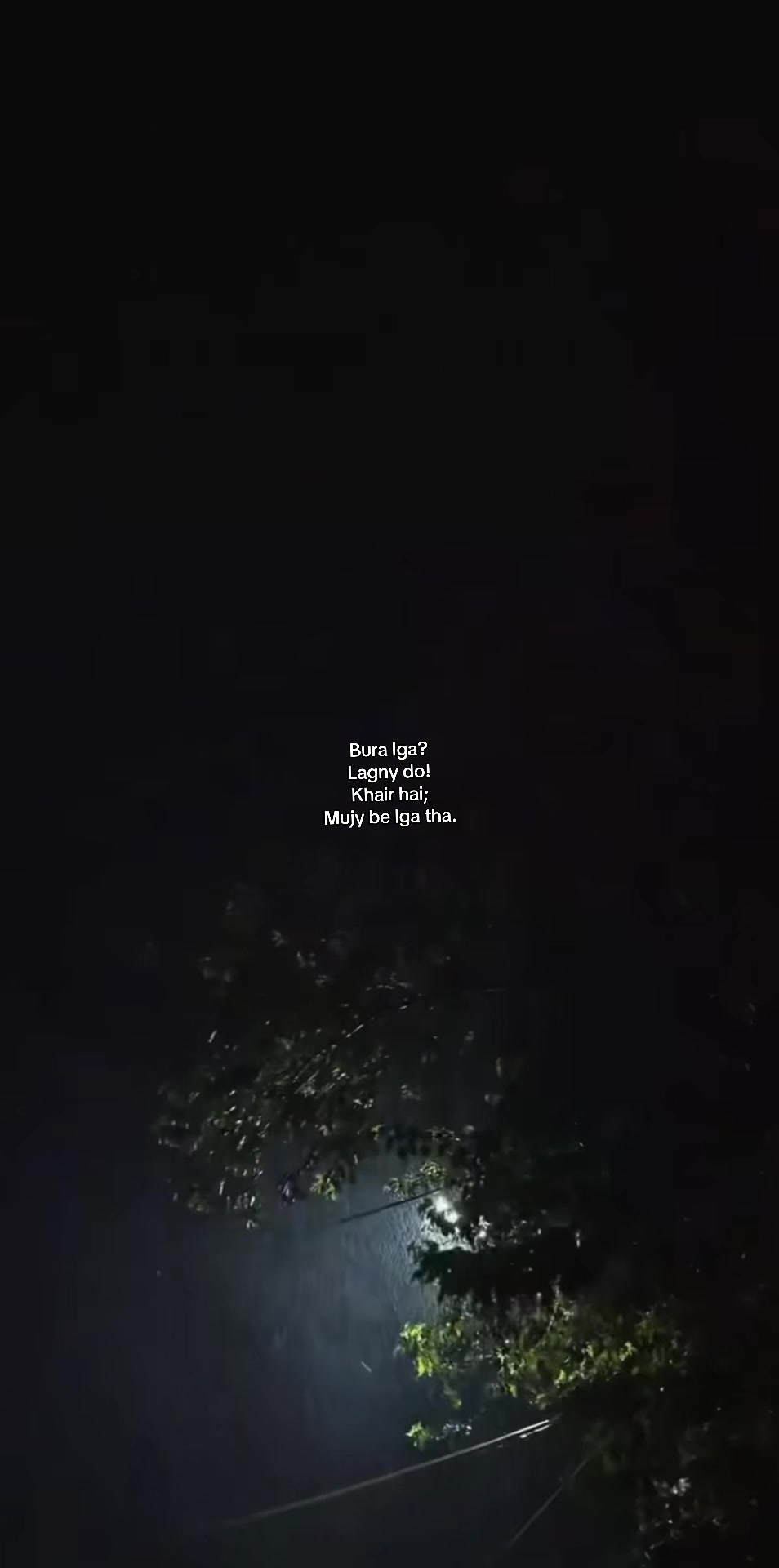 @🍂