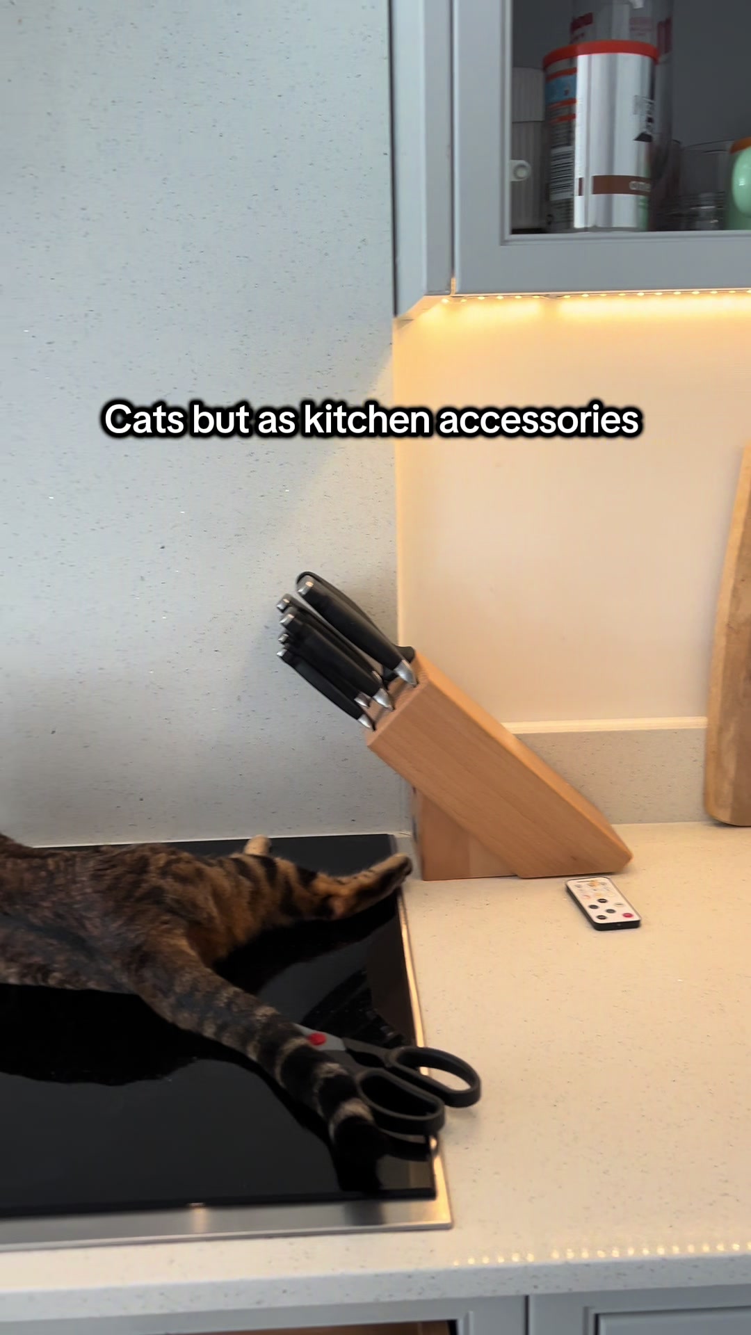 @houseofbengal