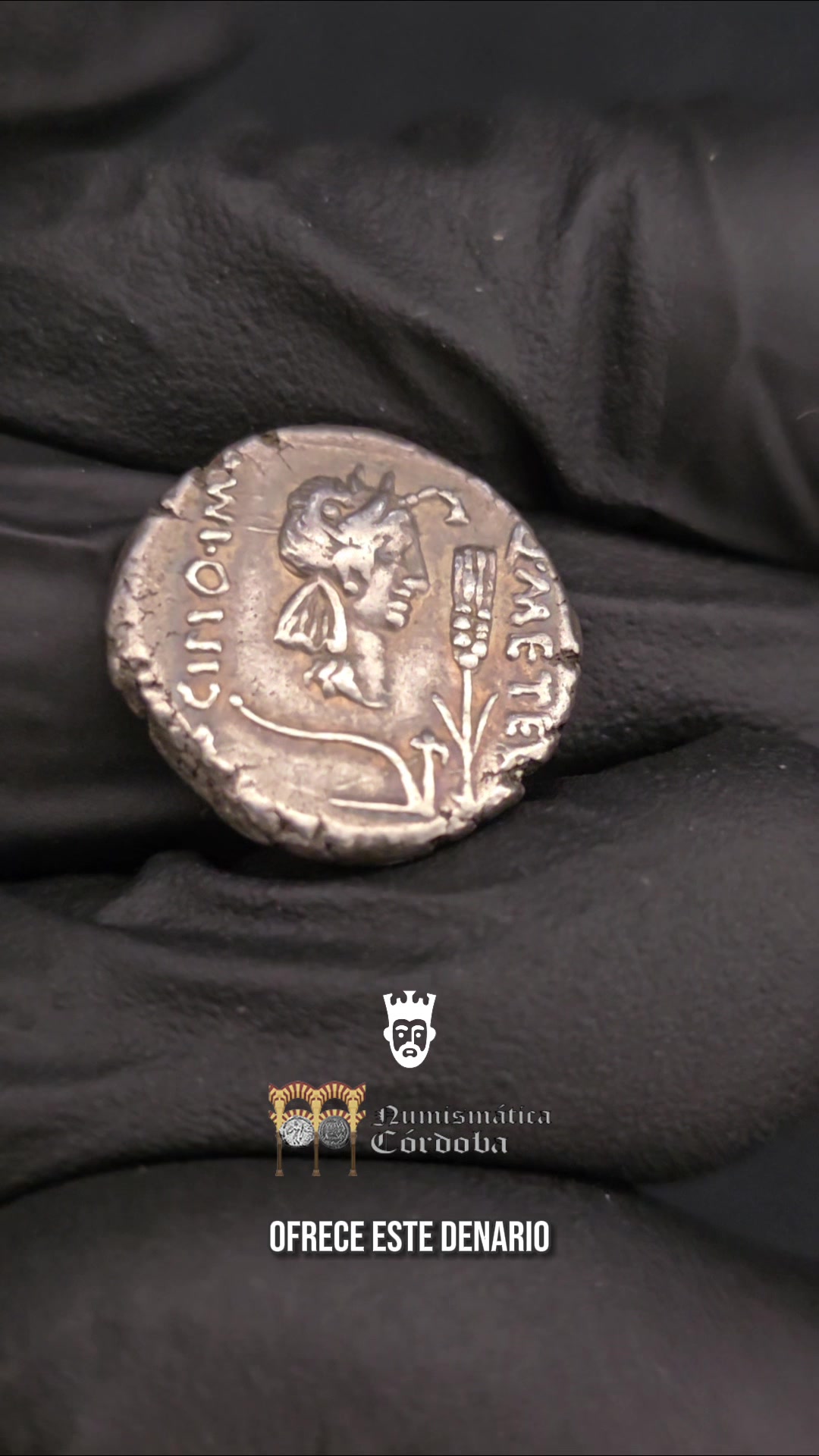 @Blog Numismático
