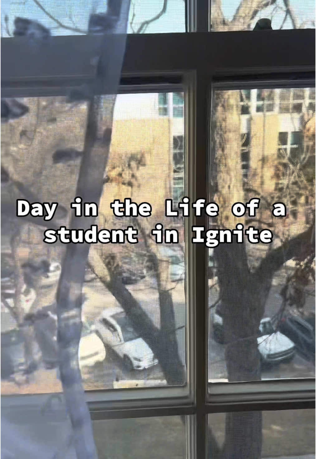 @Ignite Texas