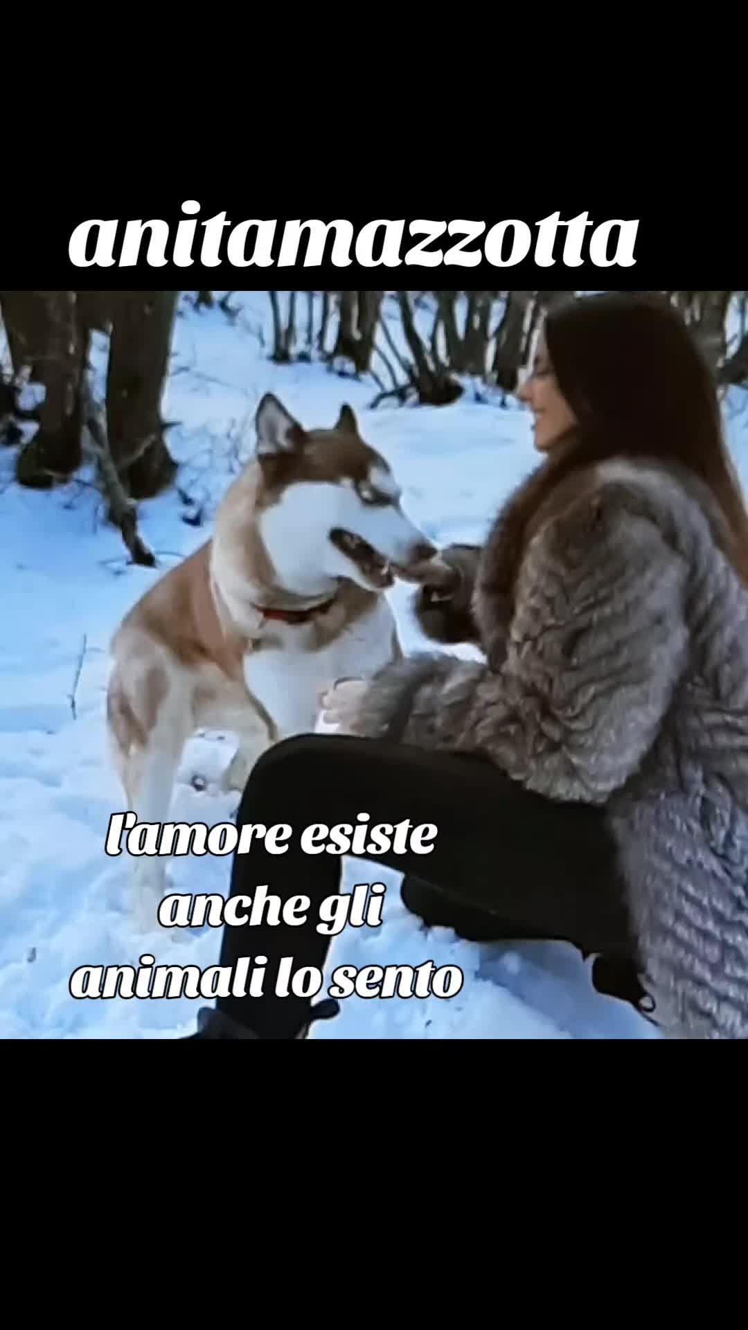 @Pinof19 musica