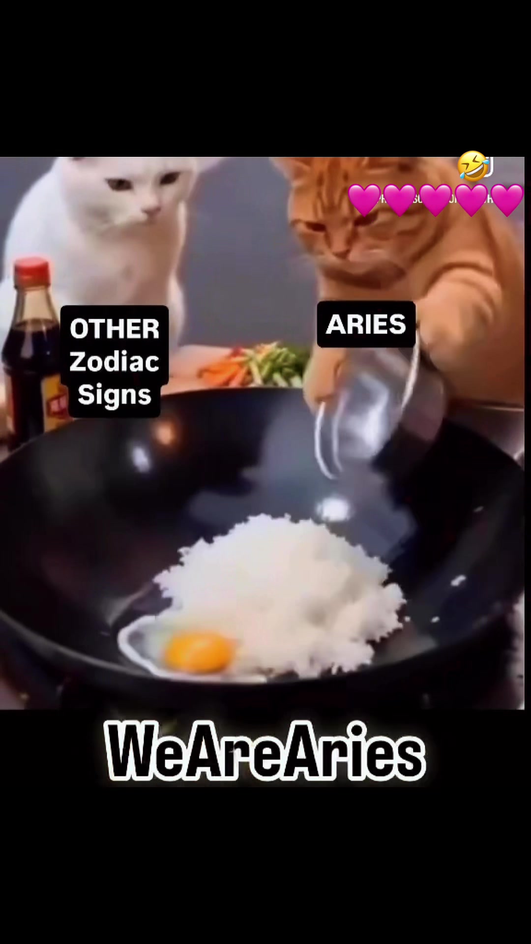 @cabralsolo🇵🇹Aries♈️ #7