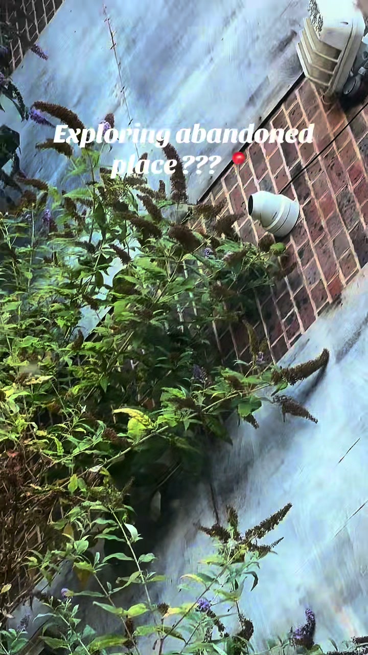 @Southeastexplores💯🔥