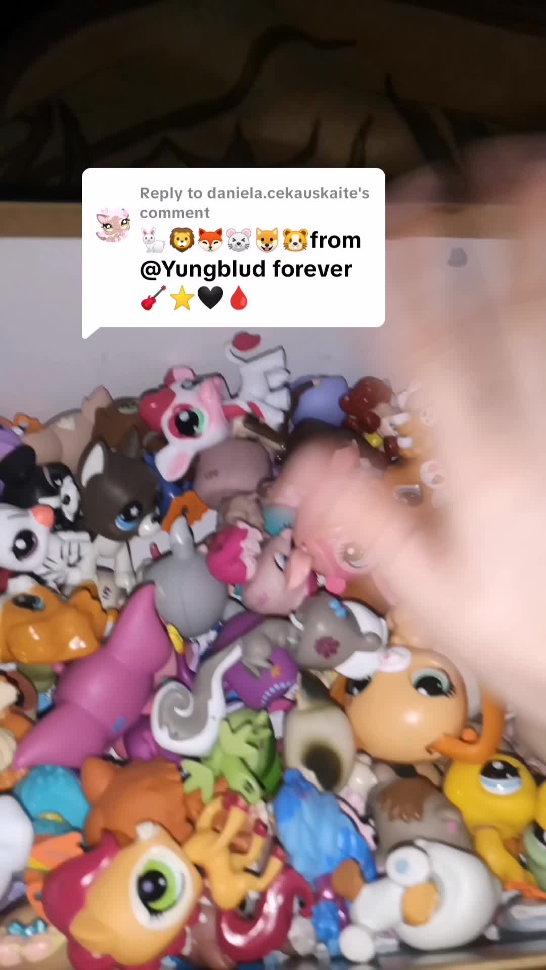 @Lps collecter🌺