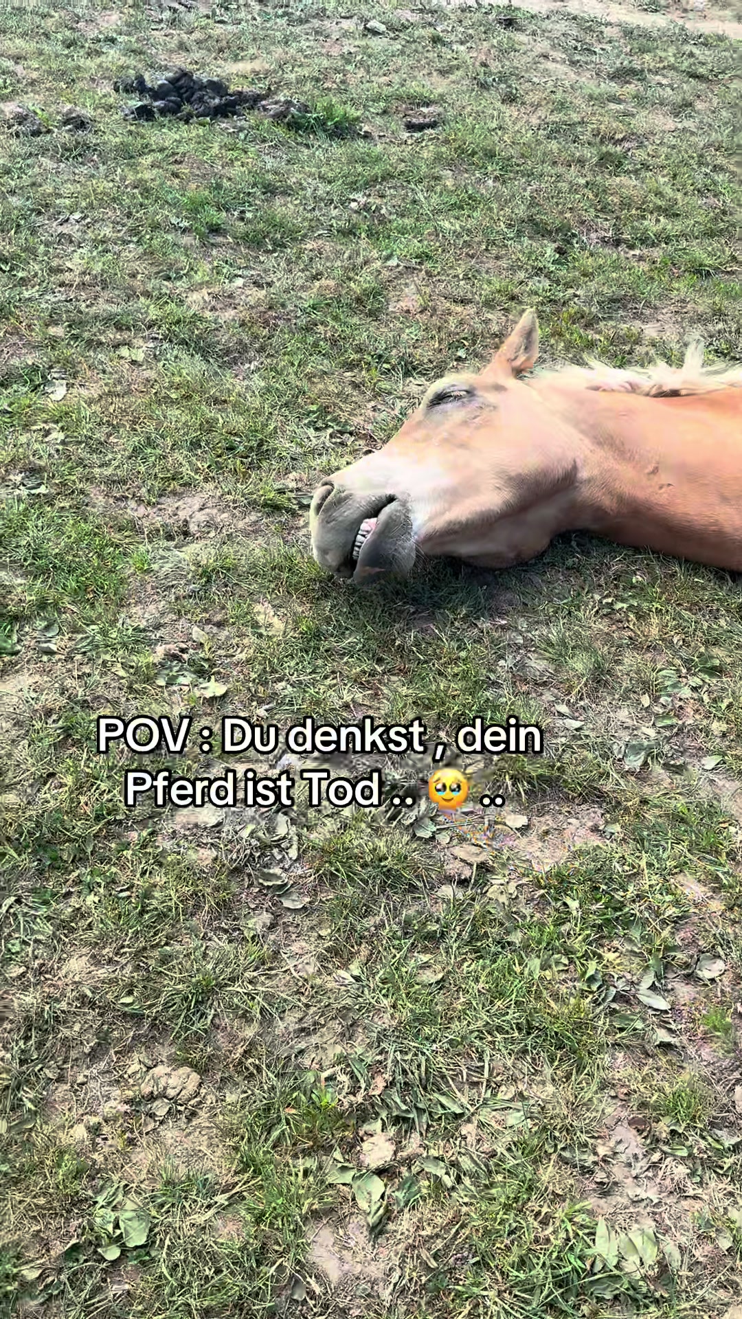 @Lena Dibbern