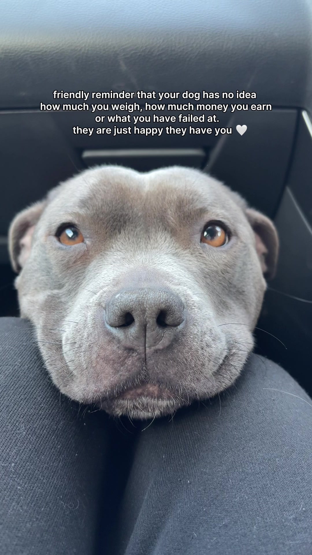 @Myla.thebluestaffy🤍