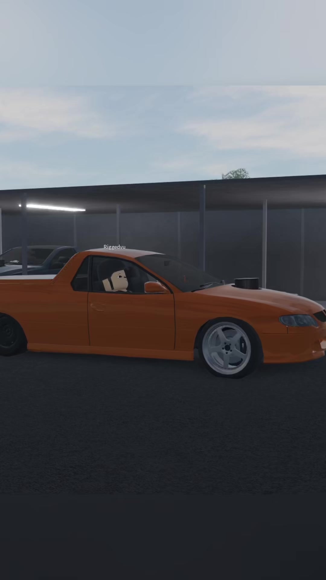 @chop.raudi
