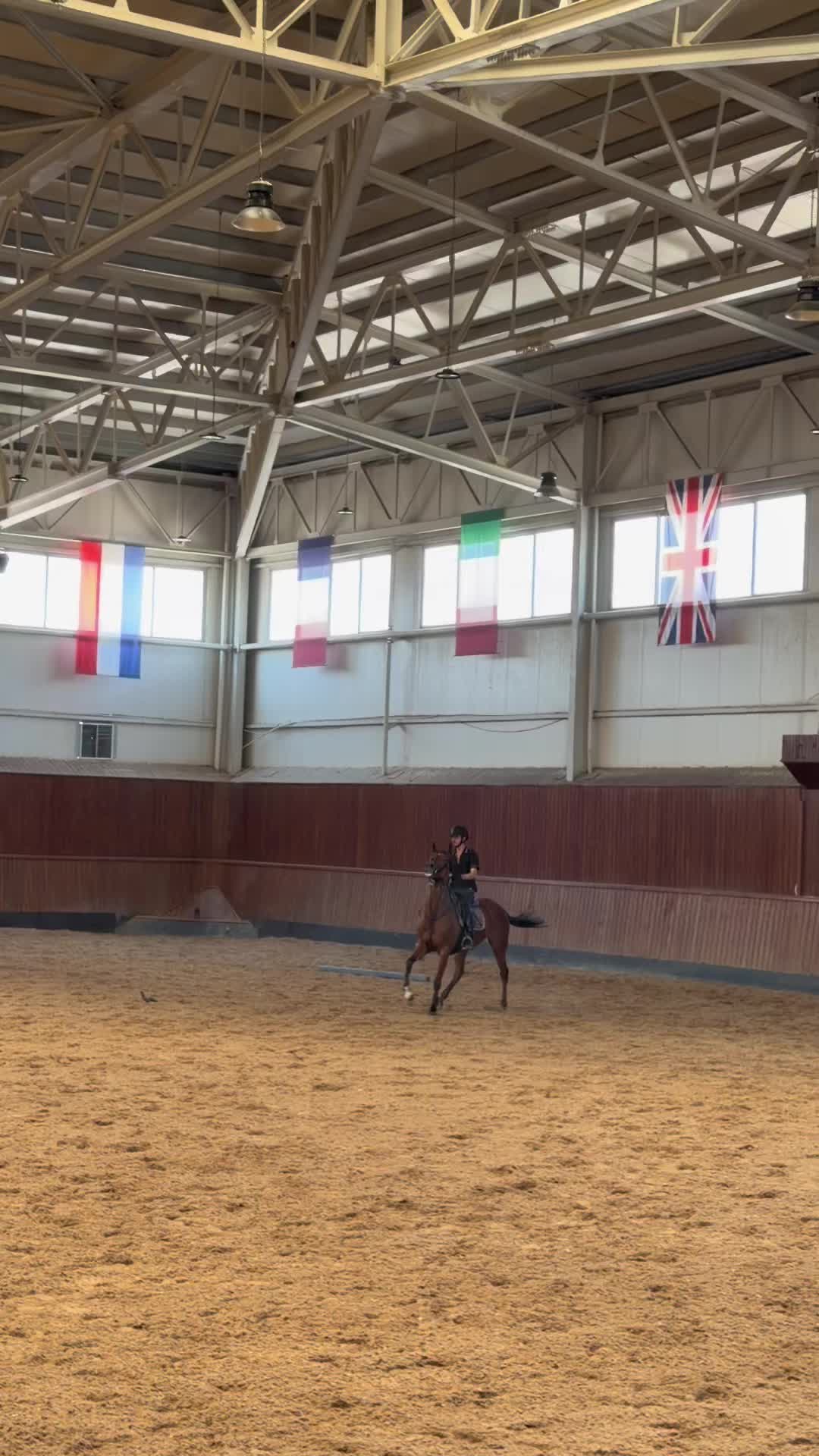 @حە مە🐎🫀