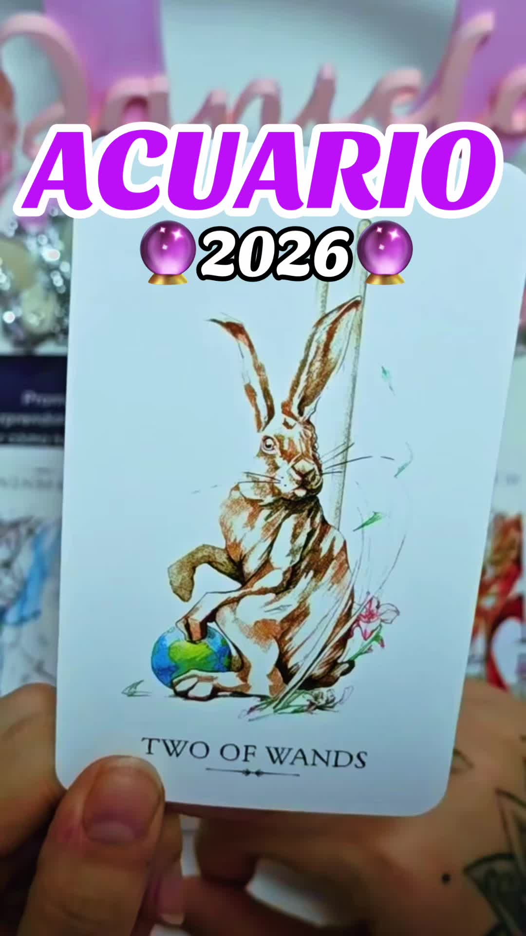 @Daniela Tarot