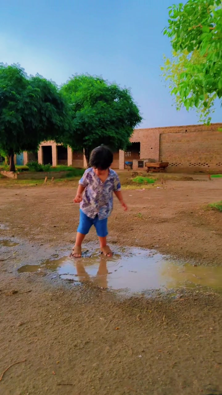 @M Shehryar Sultan Lati