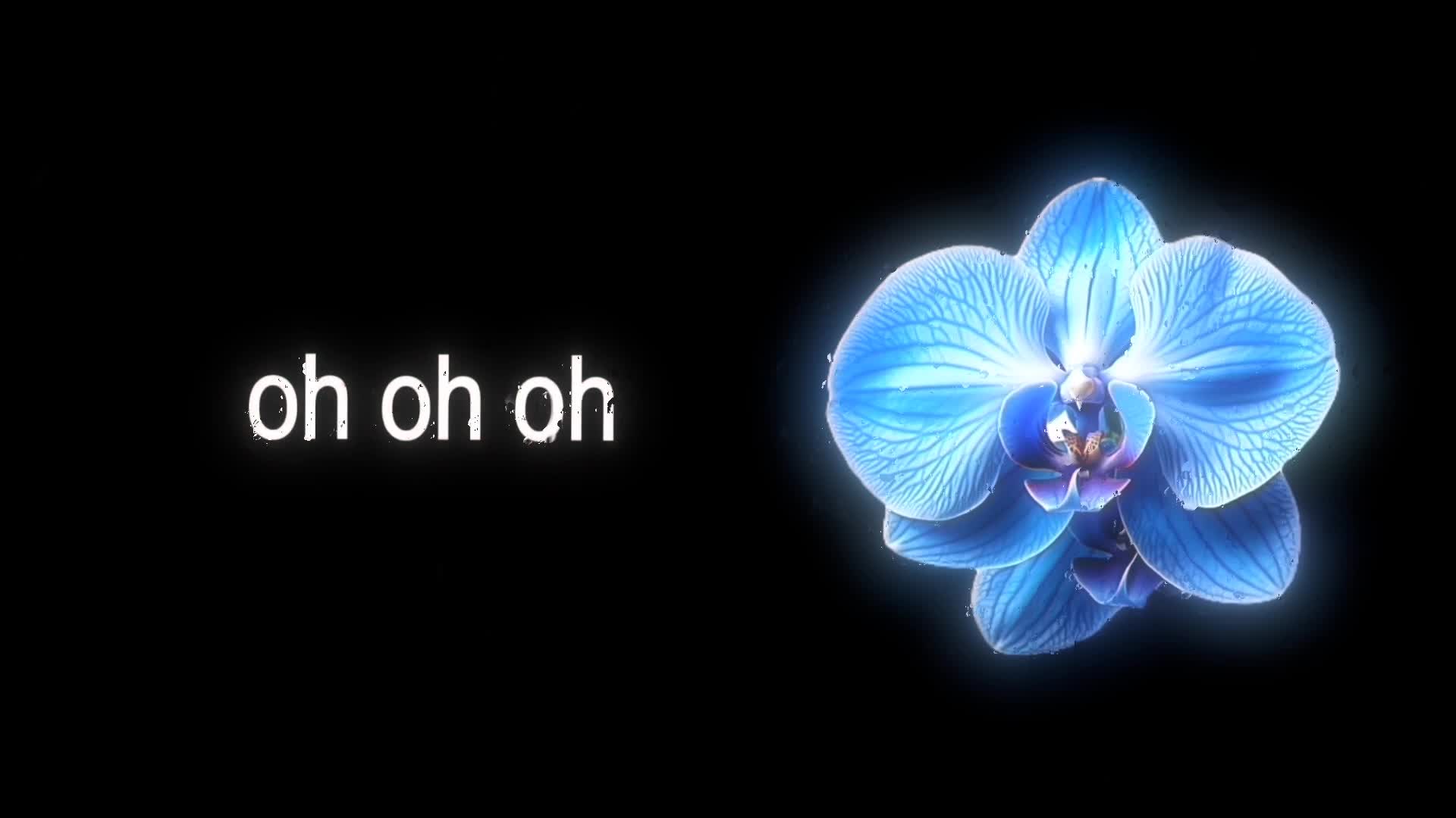@𝐬𝐩𝐞𝐞𝐝 𝐥𝐲𝐫𝐢𝐜𝐬