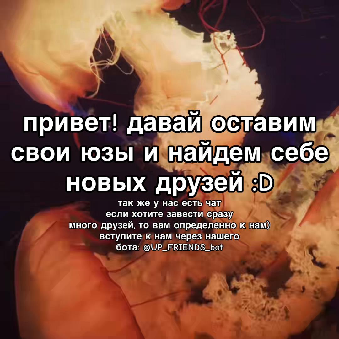 @се лянь