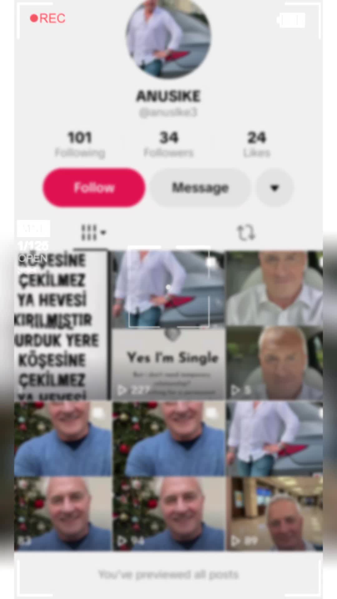 @wolfbait_2