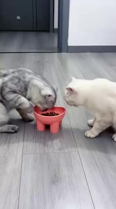 @Funny