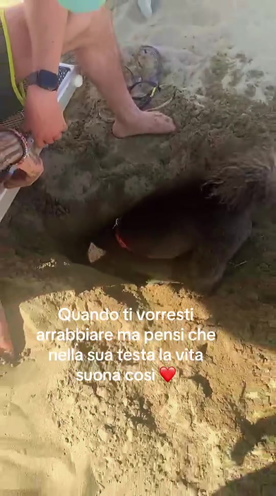 @Ilaria Guidotti