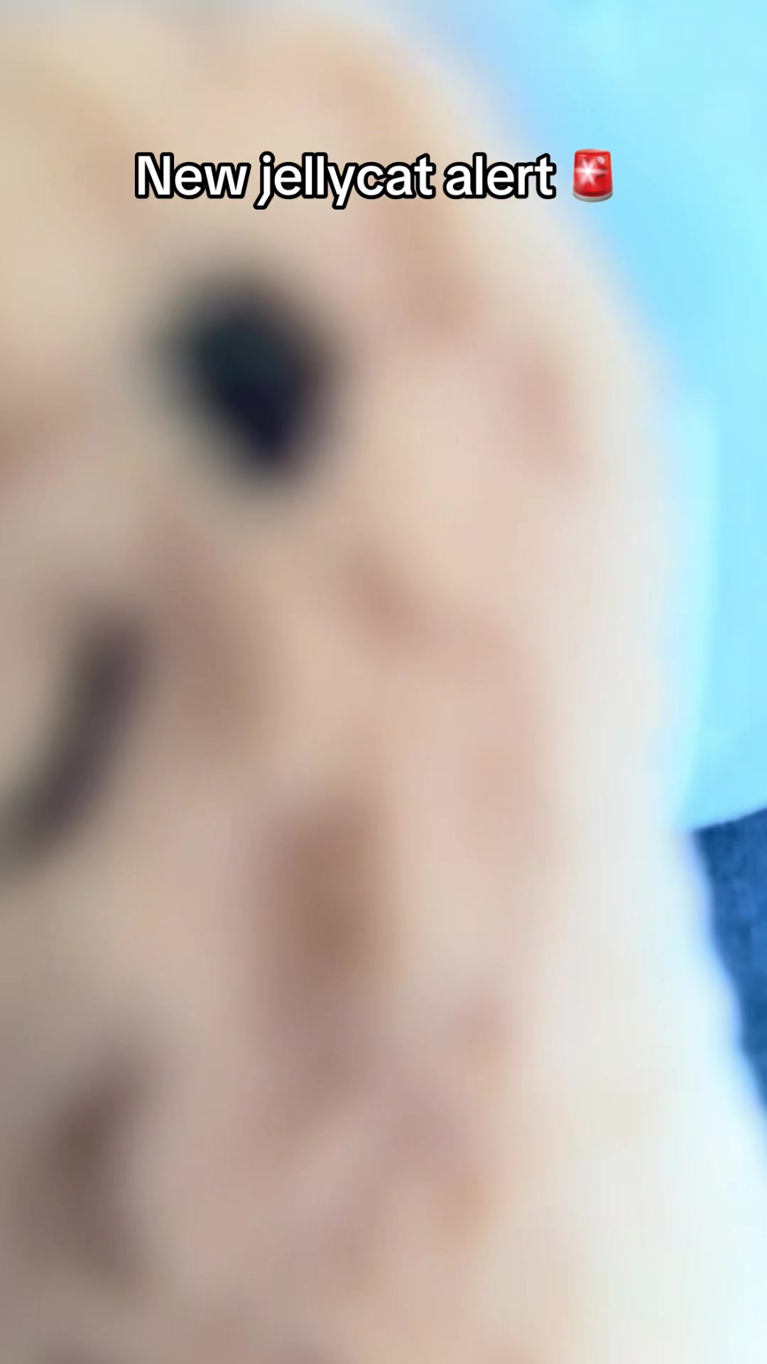 @jellycatcollectoreb