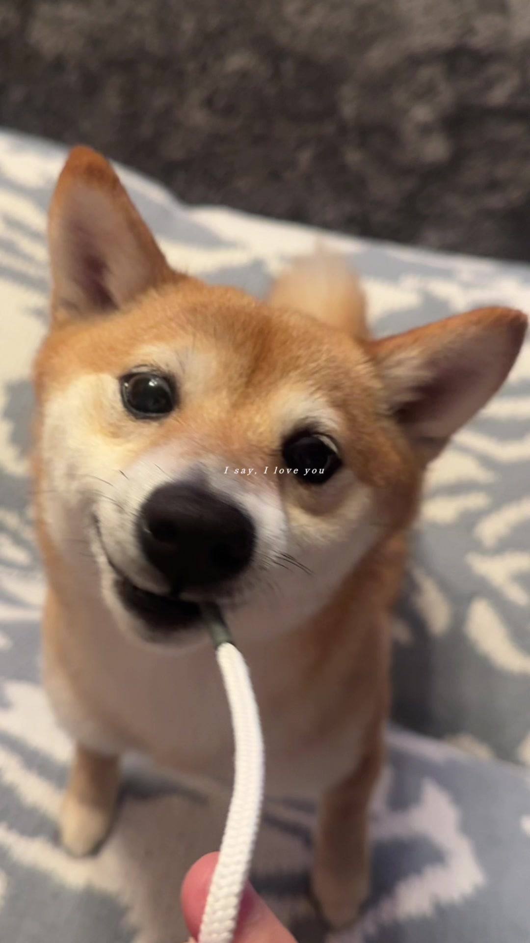 @KAHO