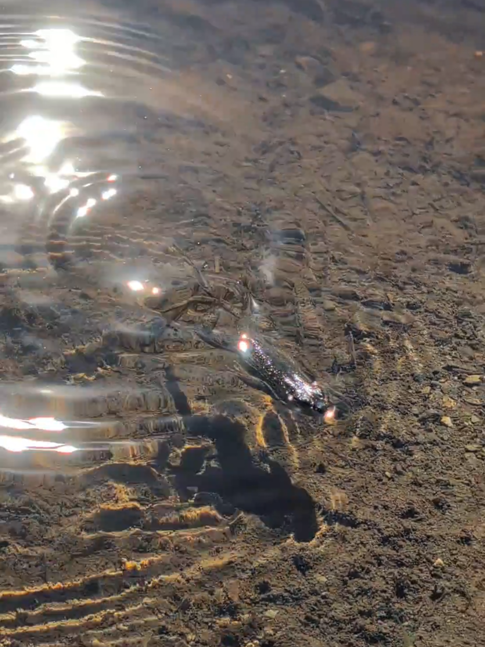 @kat 🍁