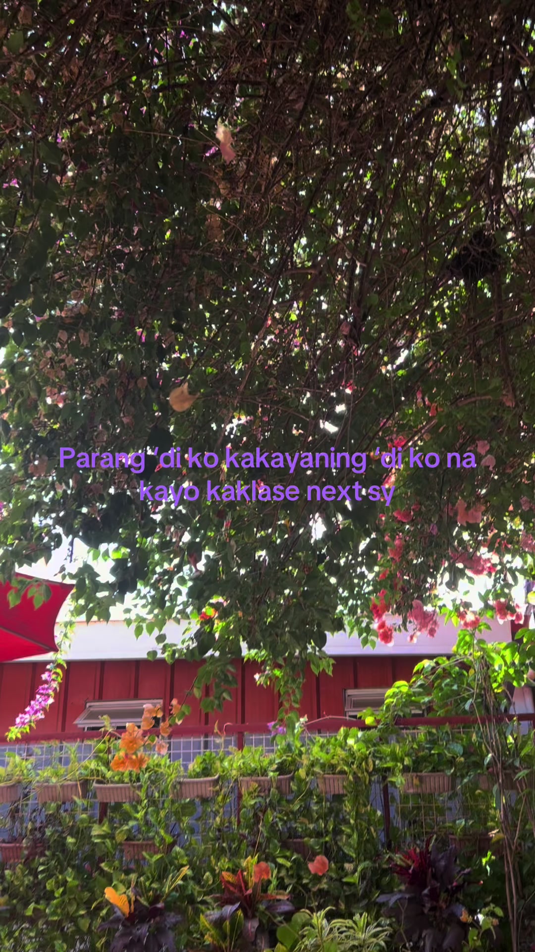 @᭝݄۫౿ꪆ  ꯱ׁׅ֒&upsilon;ᥣׁׅ֪ᥣׁׅოꪱᜒ𝗑  ⏜͡ঙ