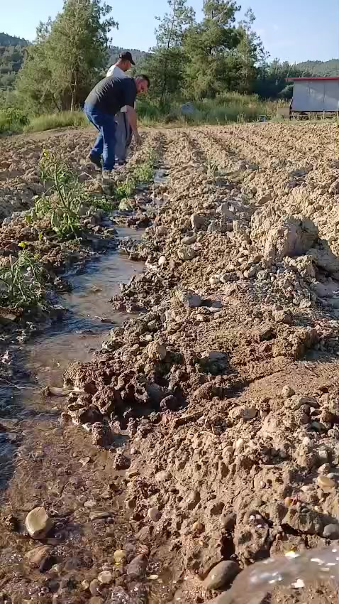@hanım ağa