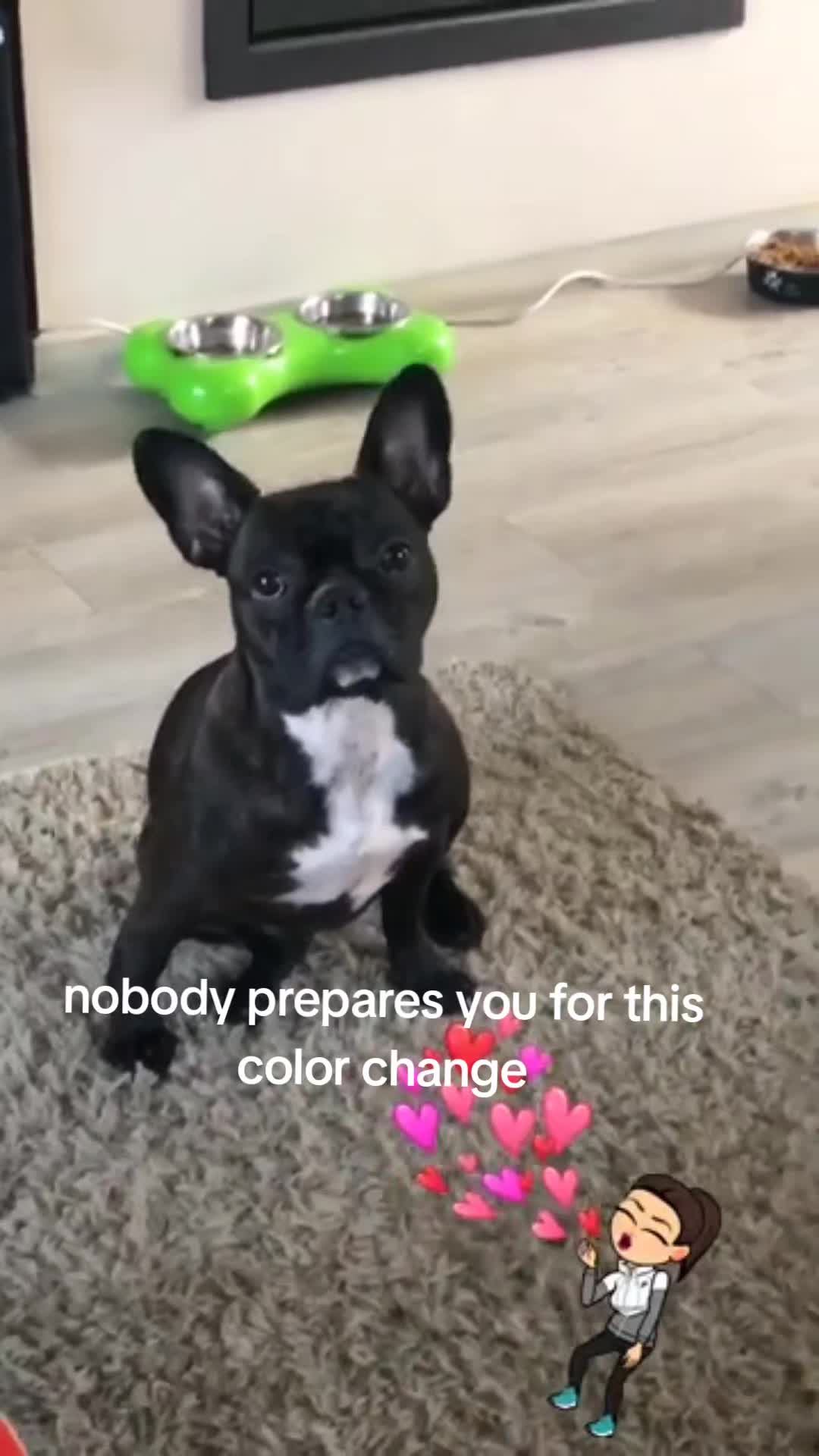@Sarina 🤍