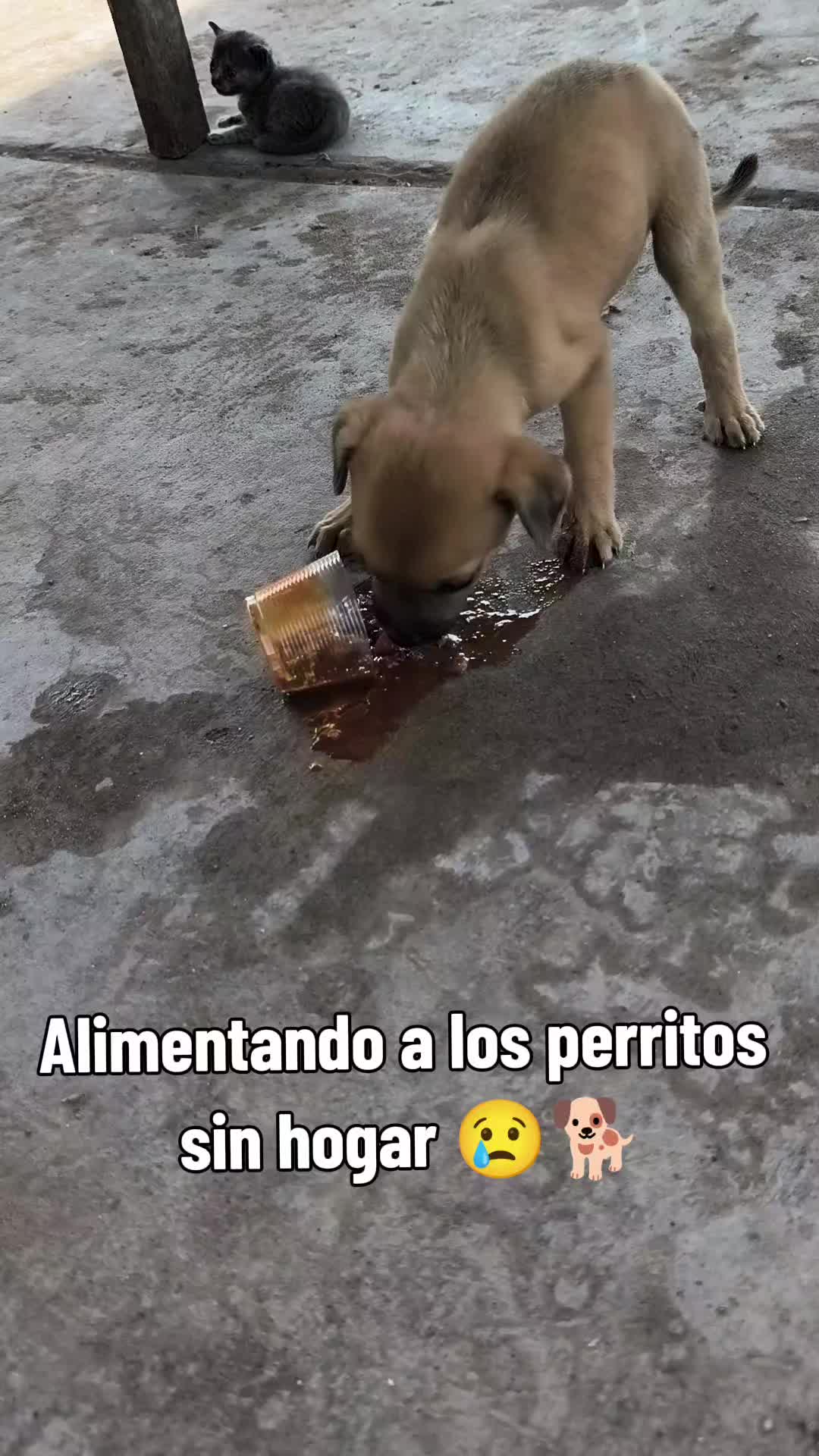 @Alondra Reyes 🫀