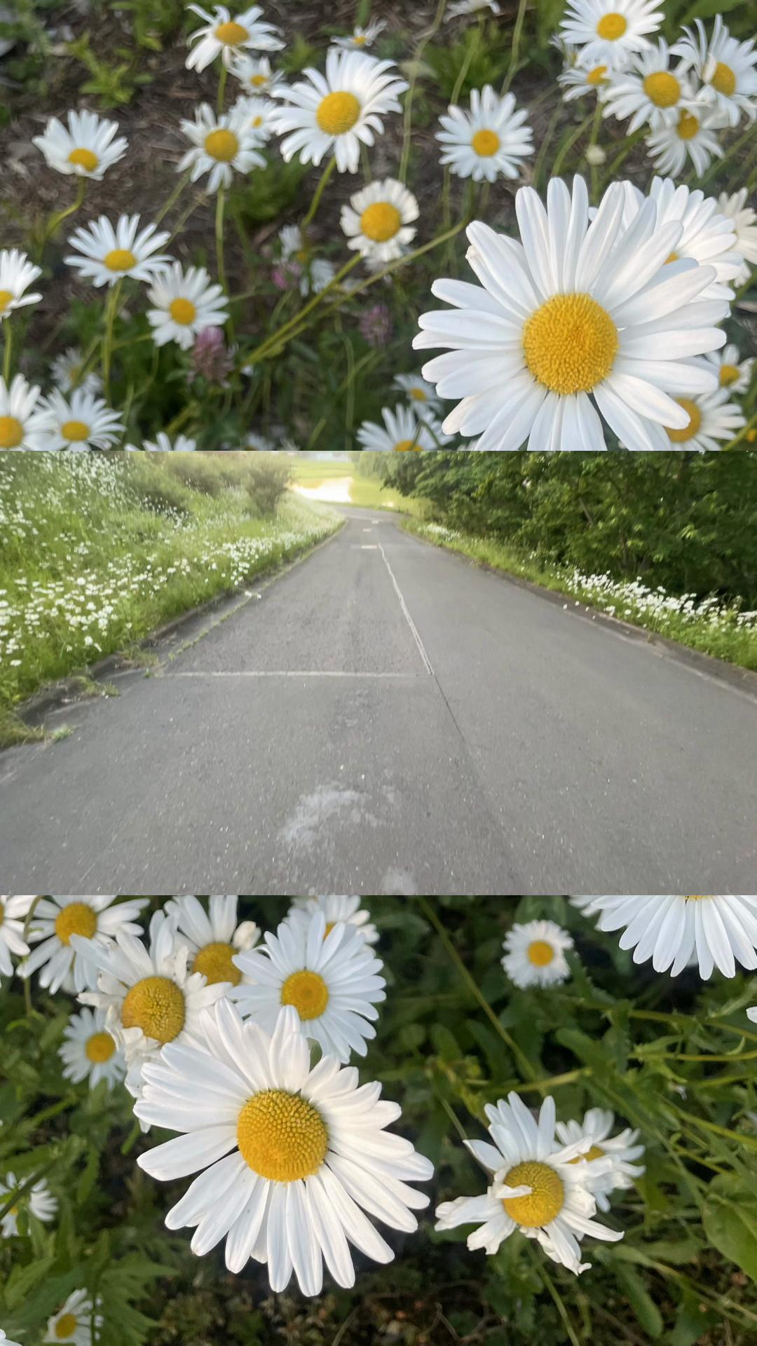 @のん📷💭