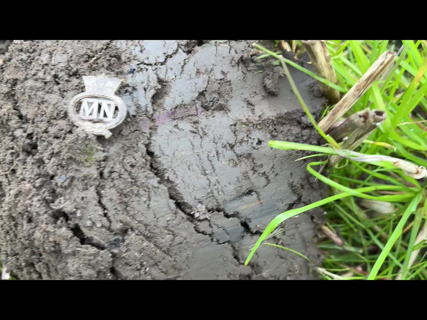 @Glasgow Detectorist