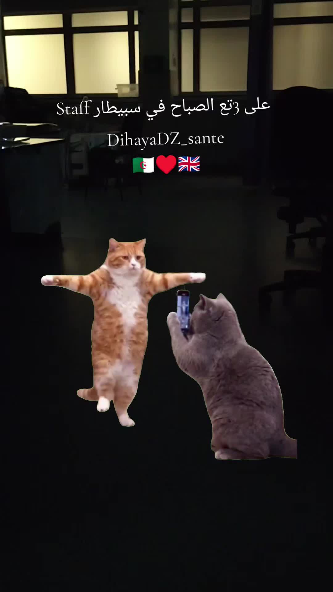 @DihyaDZ_Sante
