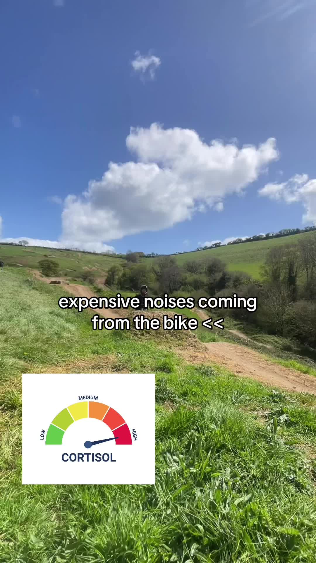 @tobyy🌲