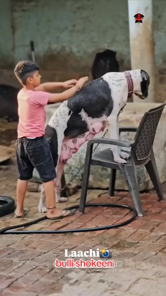 @bullishokeen2