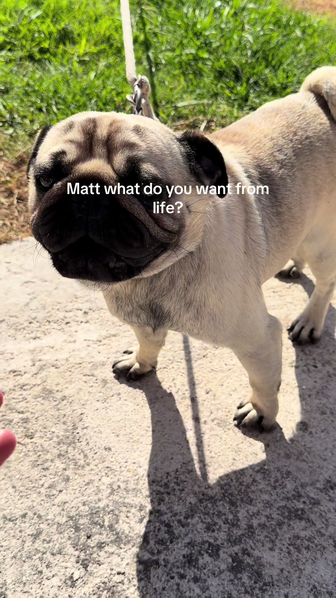 @Mattmaguire