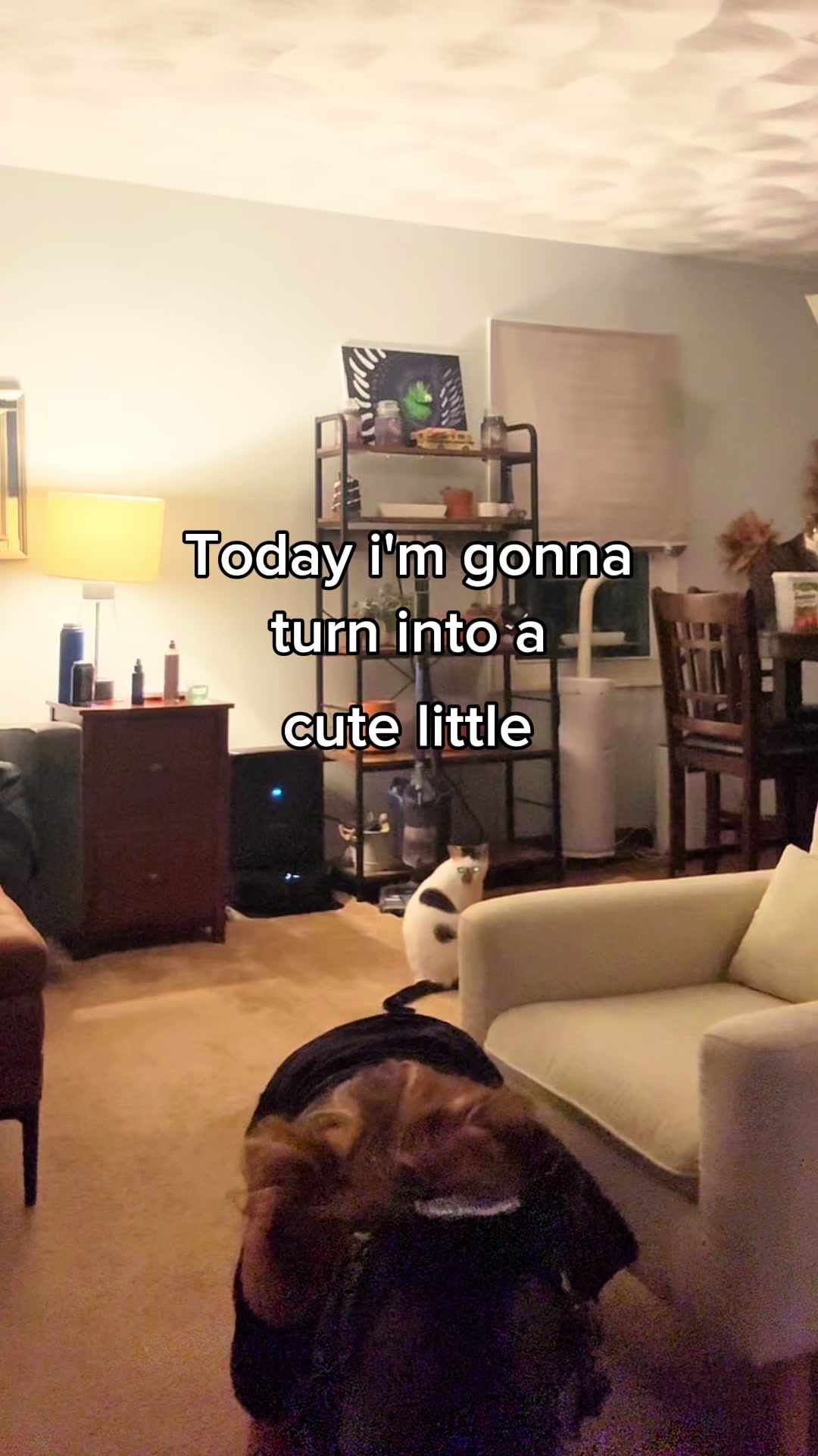 @ʜᴇʏ (ᴡɪᴛʜ ʀɪᴢᴢ)