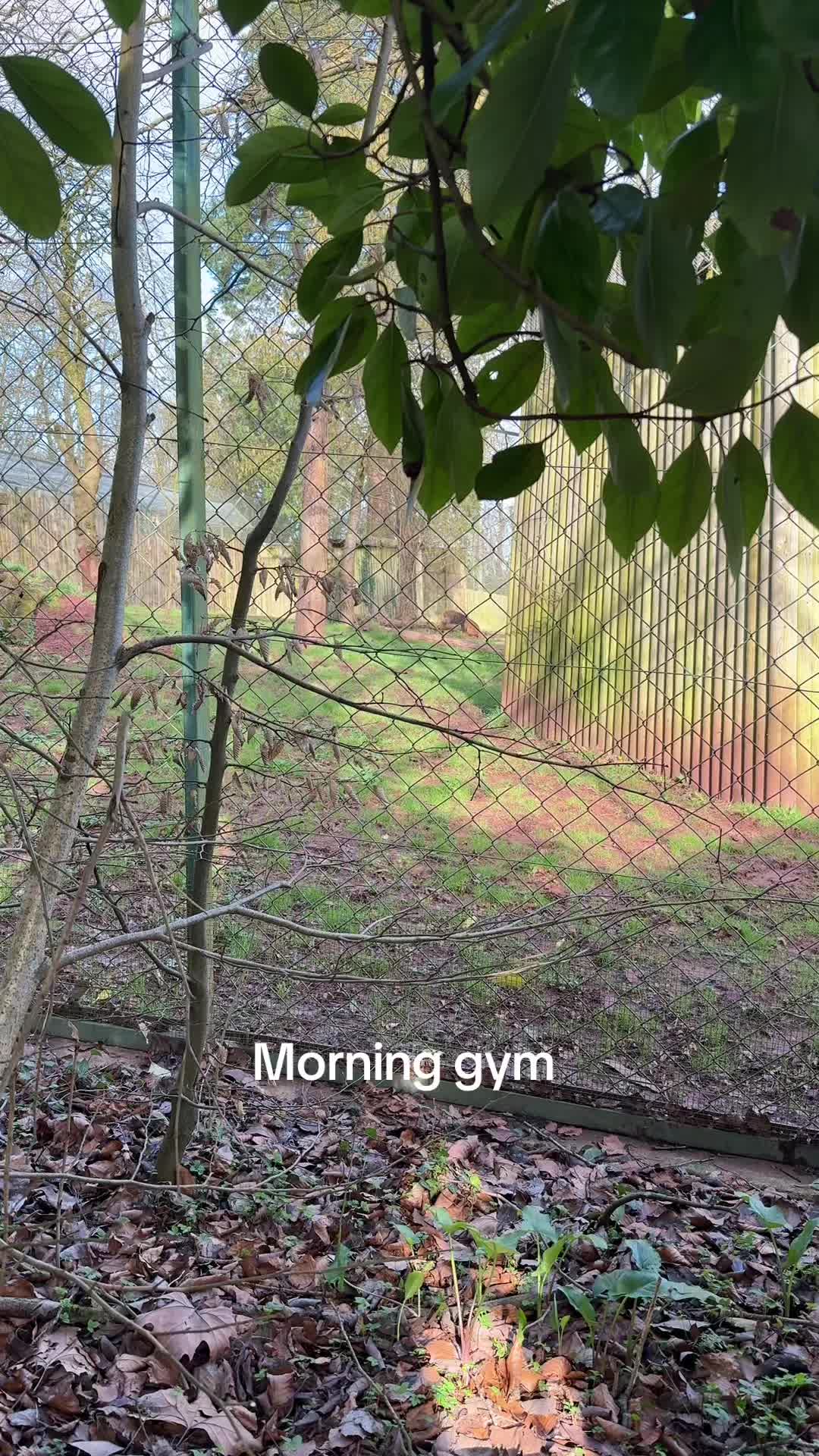 @kalelee_17