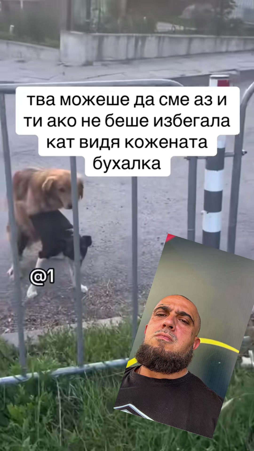 @Neo Batka
