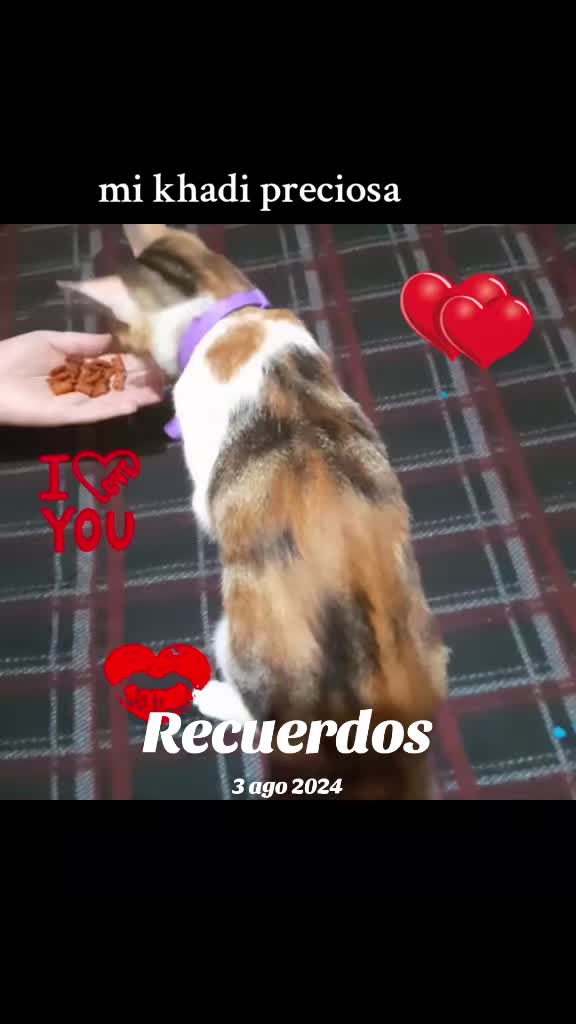 @rubioveronica_11