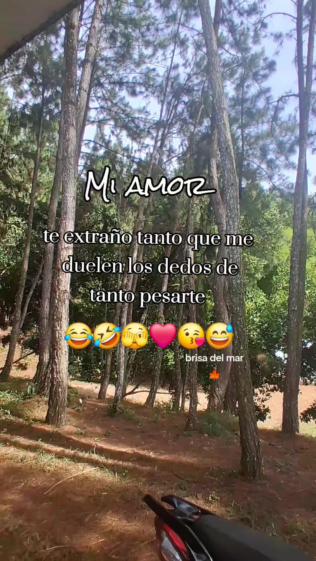 @🍁Brisa de Oto&ntilde;o🍁