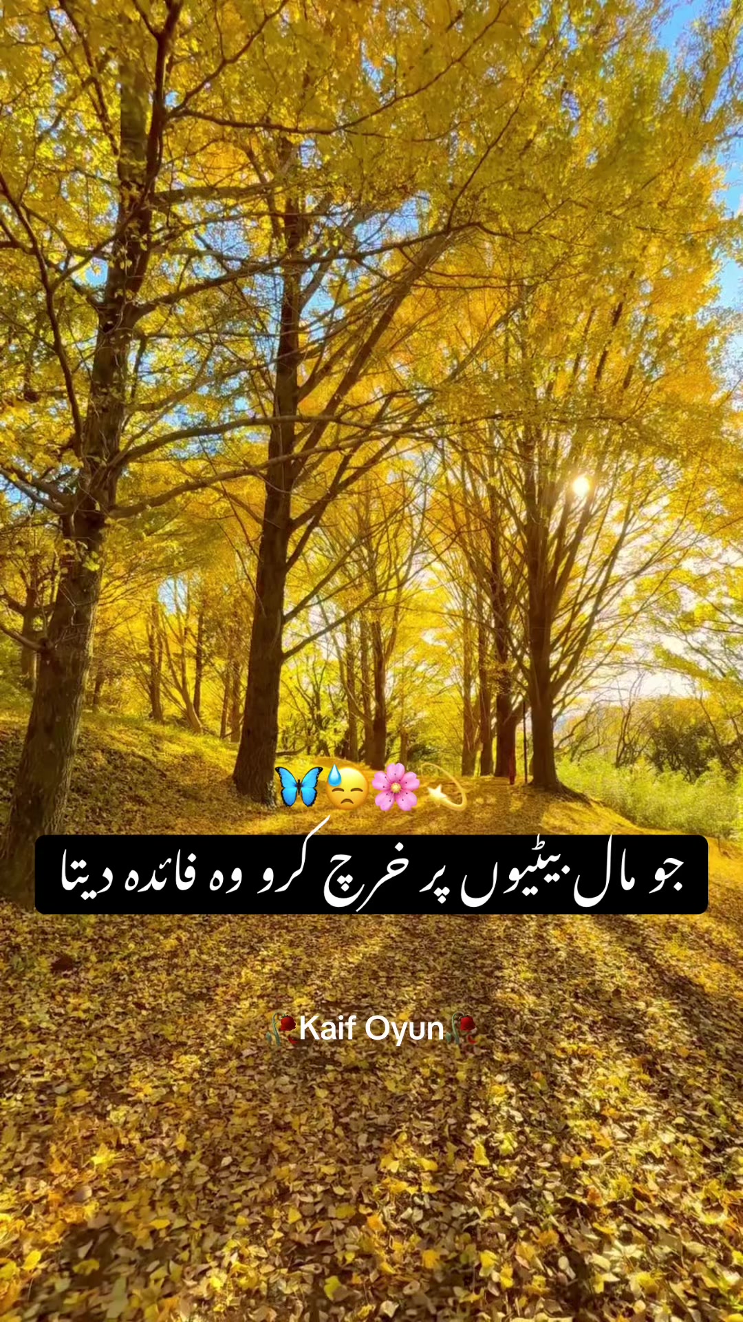 @Kaif Oyun