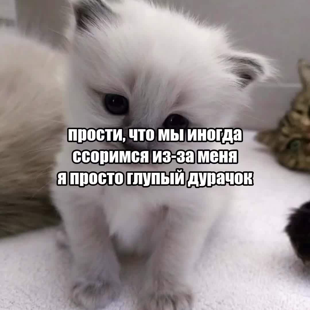 @dwee