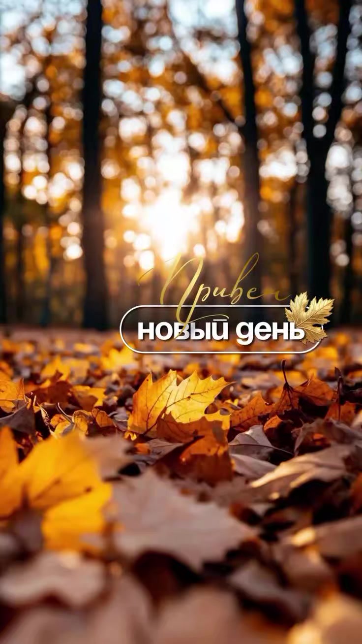 @Екатерина