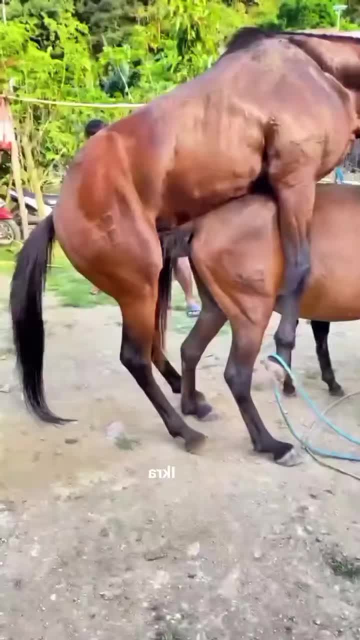 @DilKiPyas