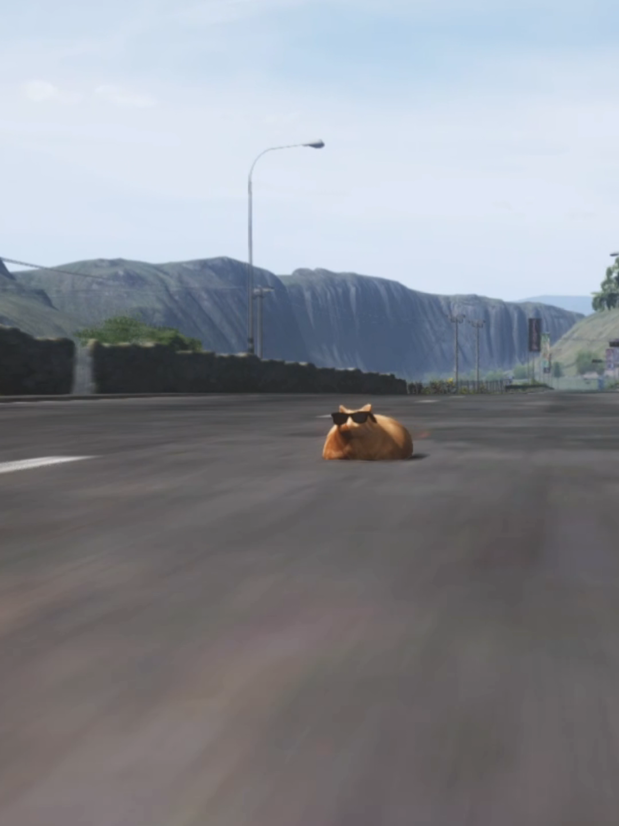 @Pablo the Race Cat