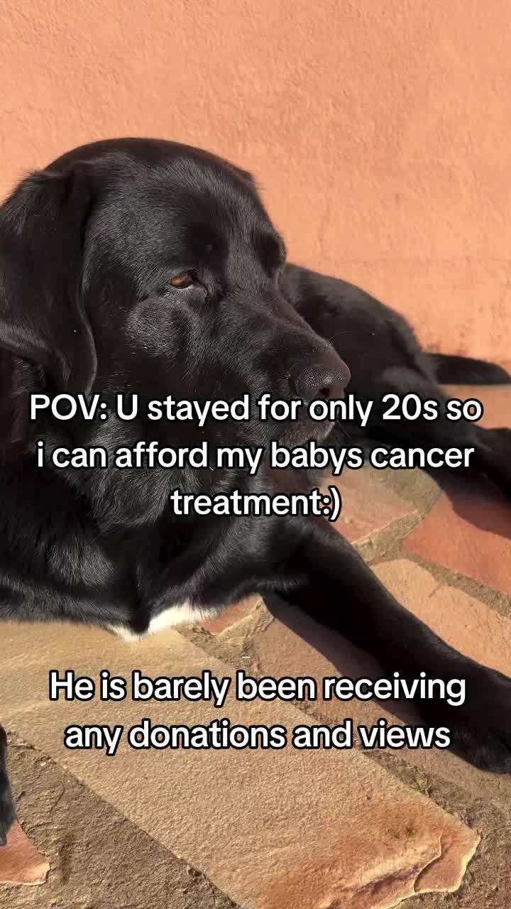 @pakrasj08