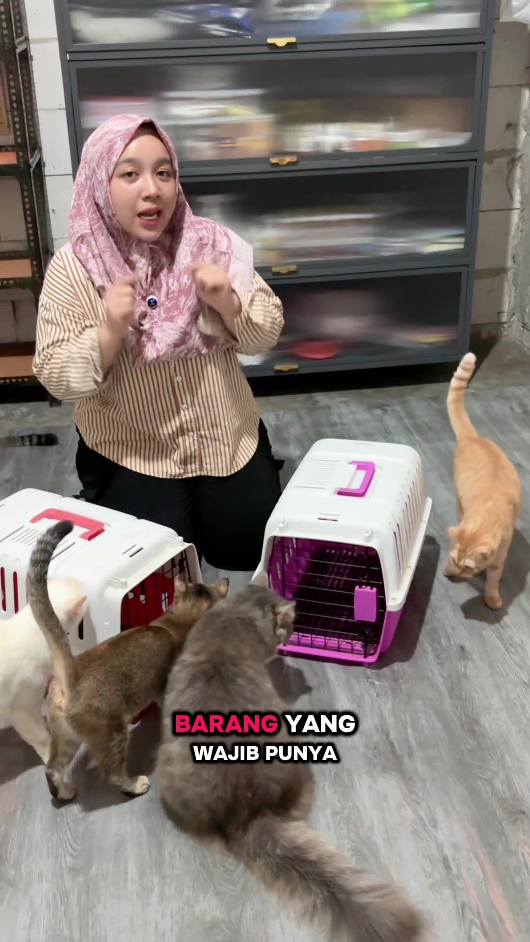 @BUMI ANABUL😺