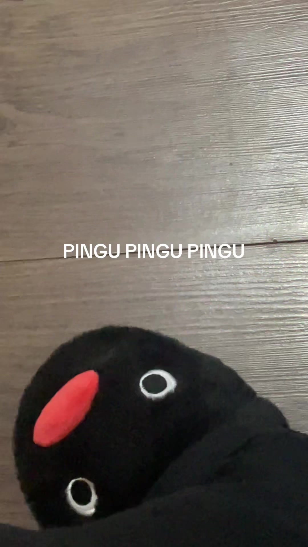 @Reign🫶🏻