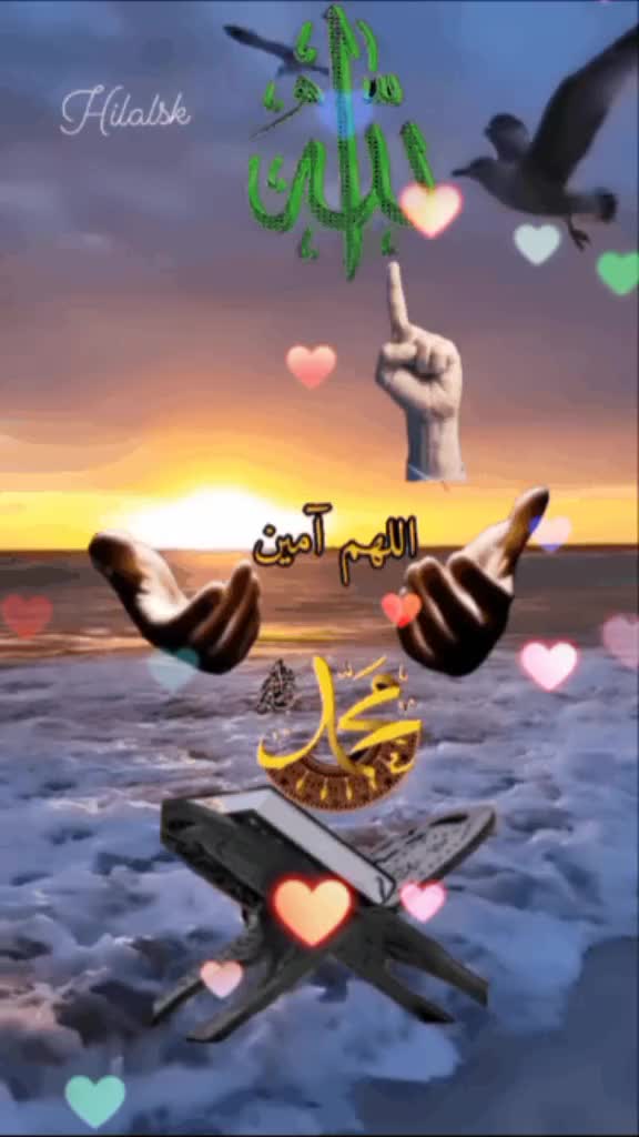 @و د أحمد ✅️  ✈️   Ahmed