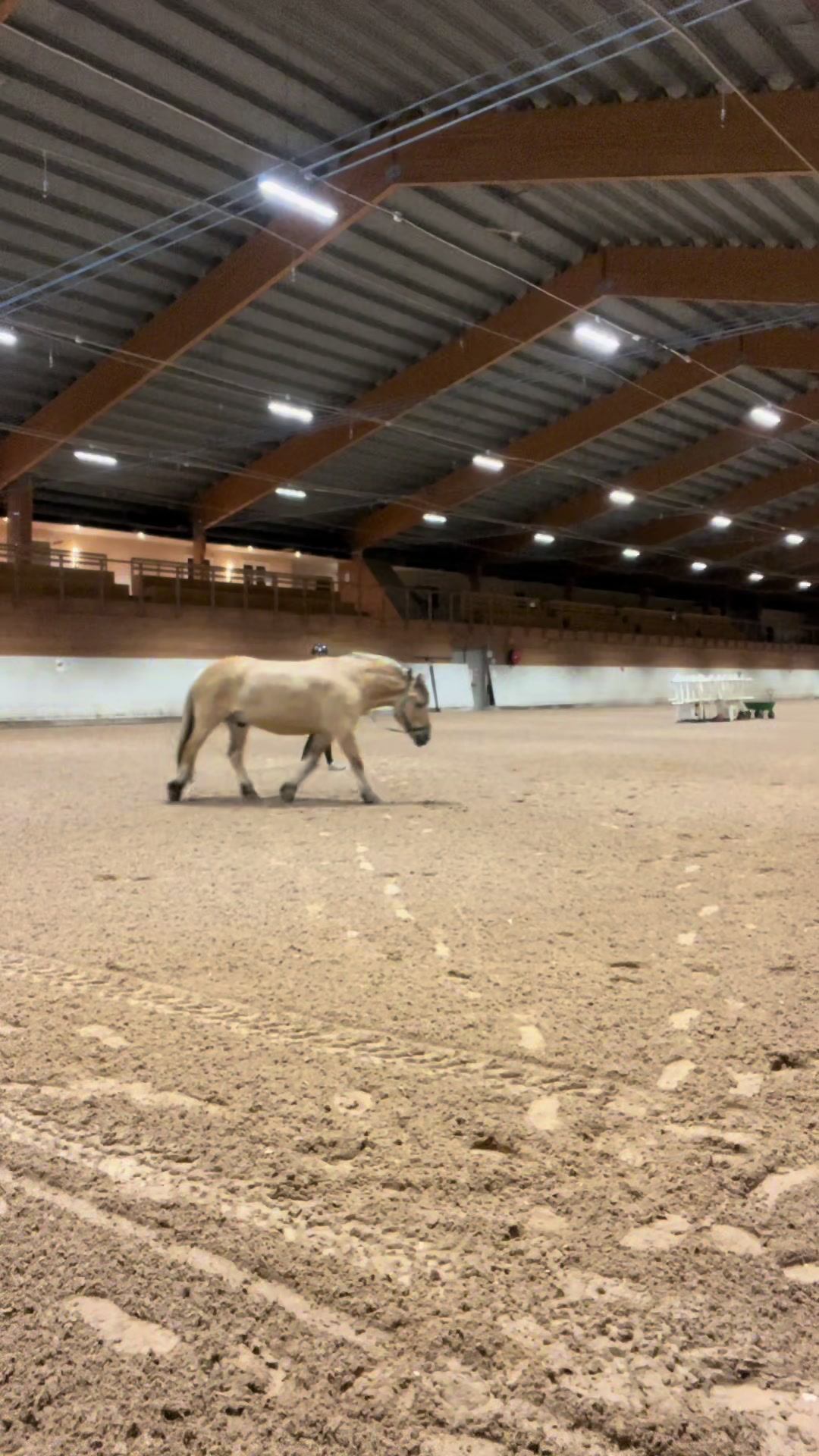 @♡Ronja♡