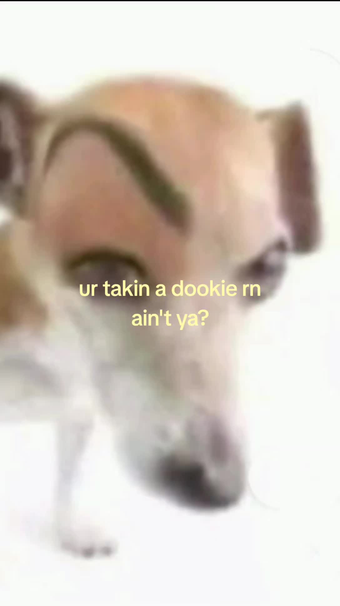 @CosmicHai