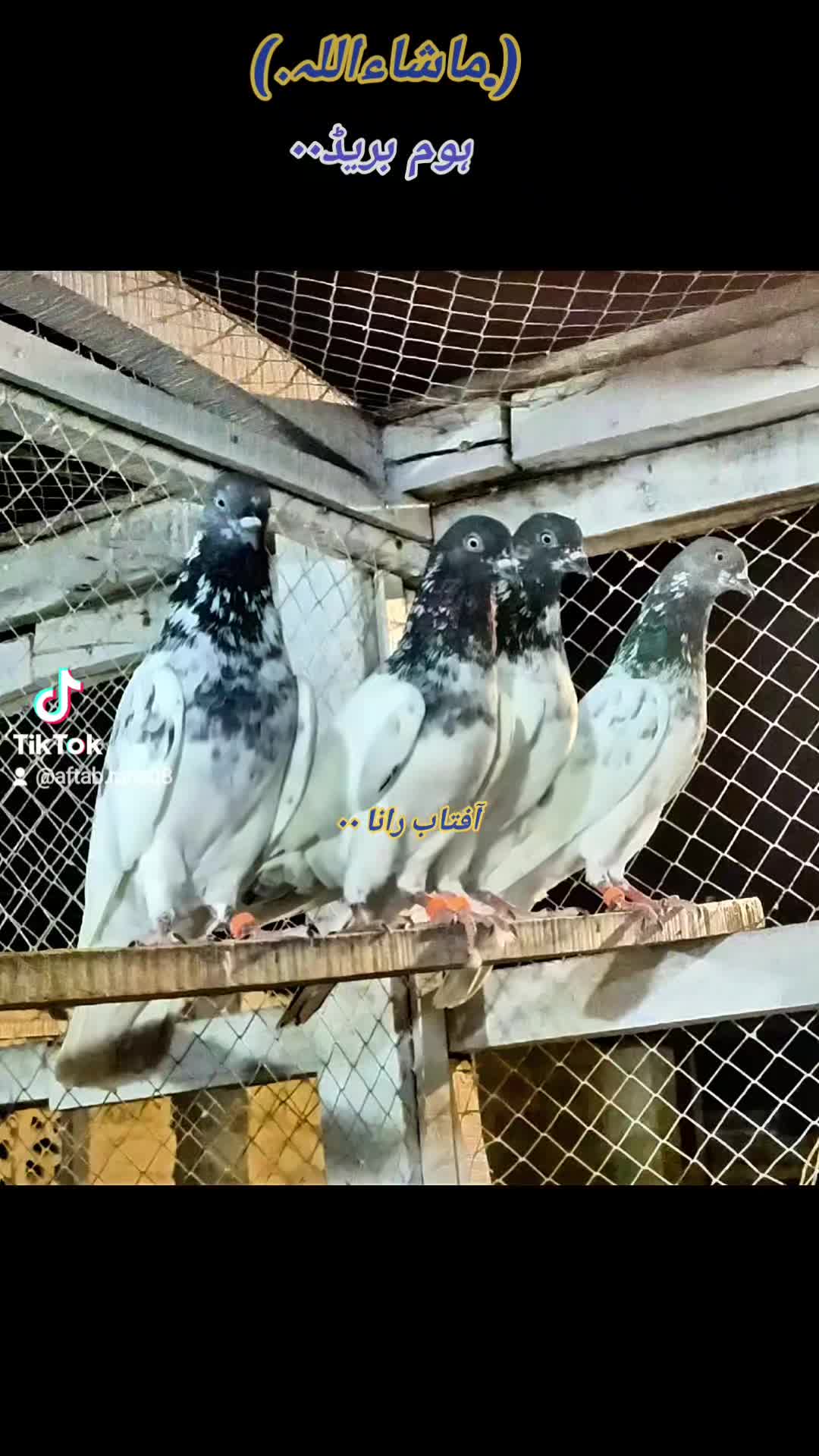@آفتاب رانا۰۰(میانوالی)