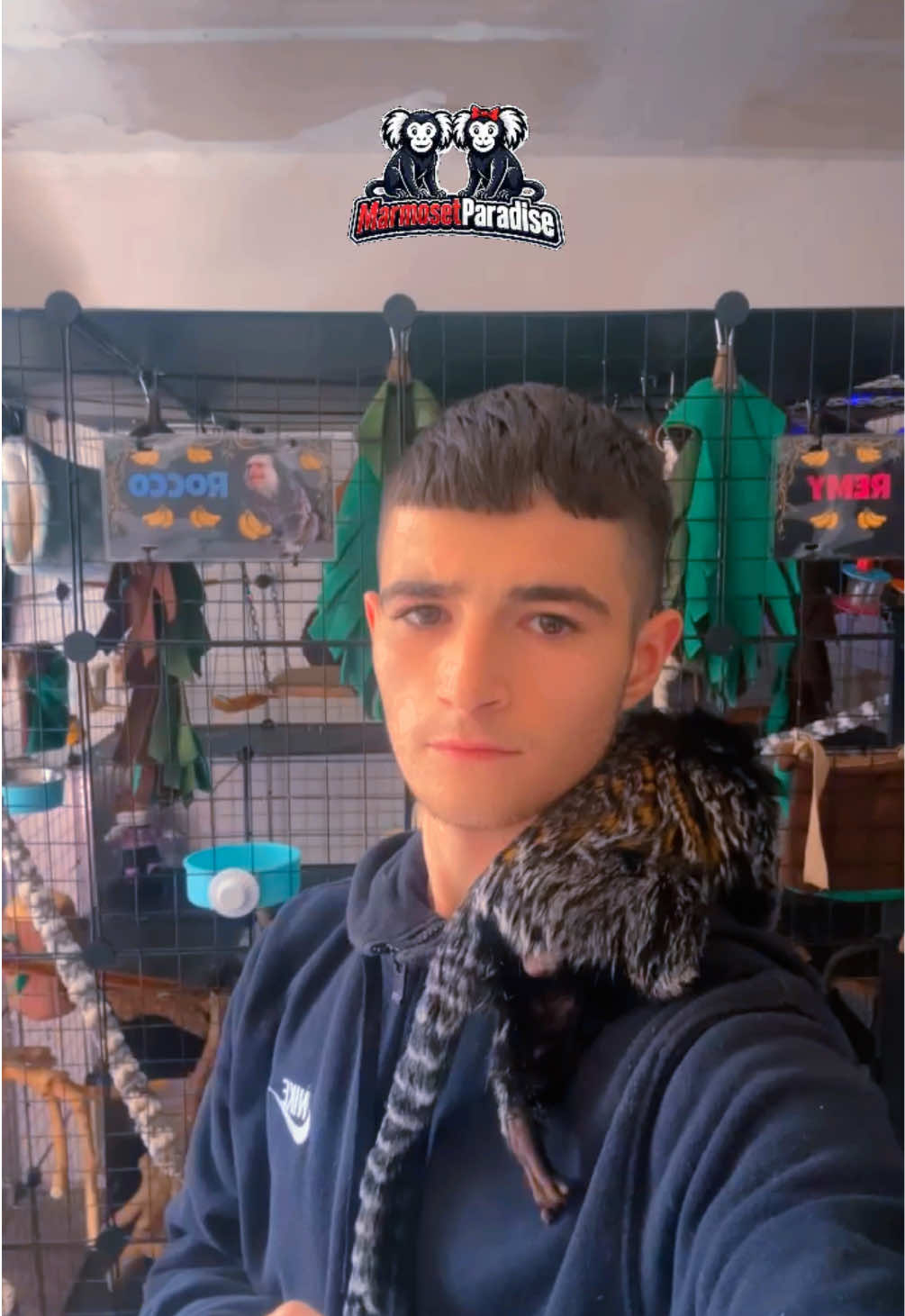 @ᴍᴀʀᴍᴏꜱᴇᴛ ᴘᴀʀᴀᴅɪꜱᴇ 🇬🇧🐒